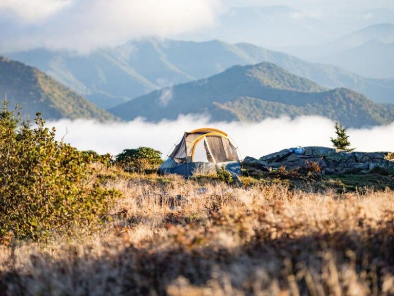 Camping & Shelter